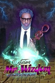 The Mysterious Mr. Wizdom The Mysterious Mr. Wizdom