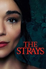 The Strays The Strays