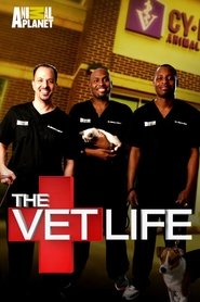 The Vet Life Season 1 Episode 8