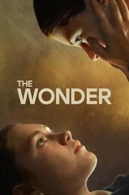 The Wonder The Wonder