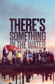 There’s Something in the Water There’s Something in the Water