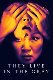 They Live in The Grey They Live in The Grey
