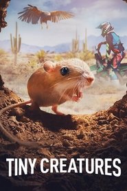 Tiny Creatures Season 1 Episode 4