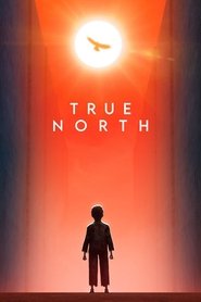 True North True North