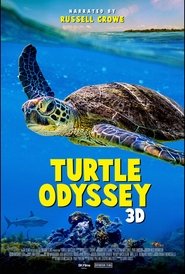 Turtle Odyssey Turtle Odyssey