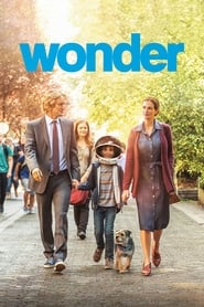 Wonder Wonder