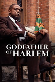 Godfather of Harlem Season 4 Godfather of Harlem Season 4